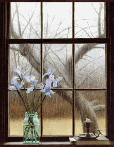 Open the window?